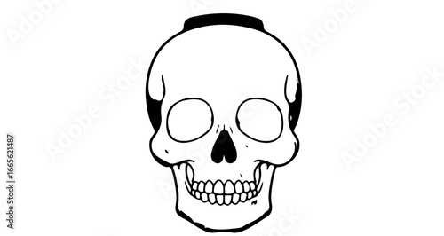 Halloween skull drawing vector illustration halloween skeleton death head bone scary spooky anatomy graphic design artwork vector