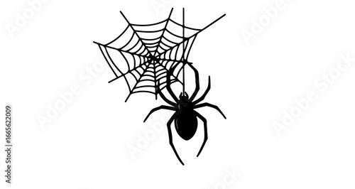 Halloween spider web vector illustration for halloween designs and scary themed graphic elements and clip art images vector