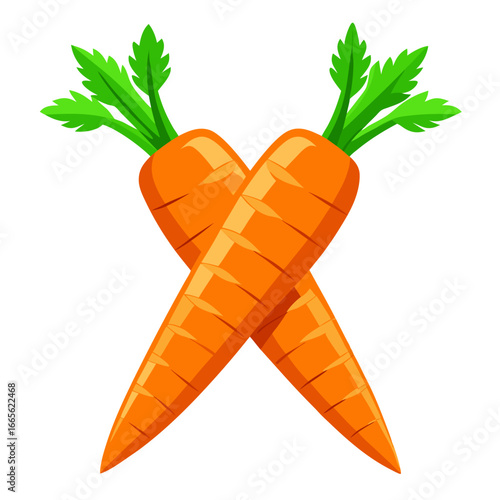 carrots on a white background