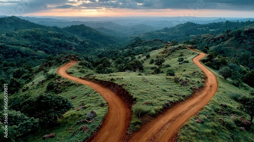 Two paths diverge on a hill surrounded by lush green forest and sky.