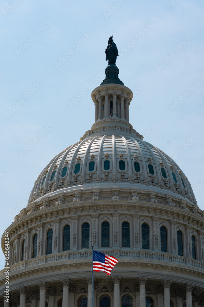 Obraz premium Washington DC. Congress and Senate. US Capitol with USA falg.