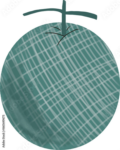 animation fresh melon fruit vector from the garden