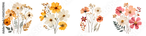 Autumn Floral Bouquets: Fall Colors and Dried Flowers on White
