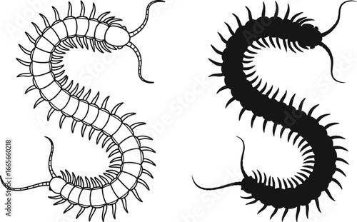 Vector centipede illustration insect outline black silhouette