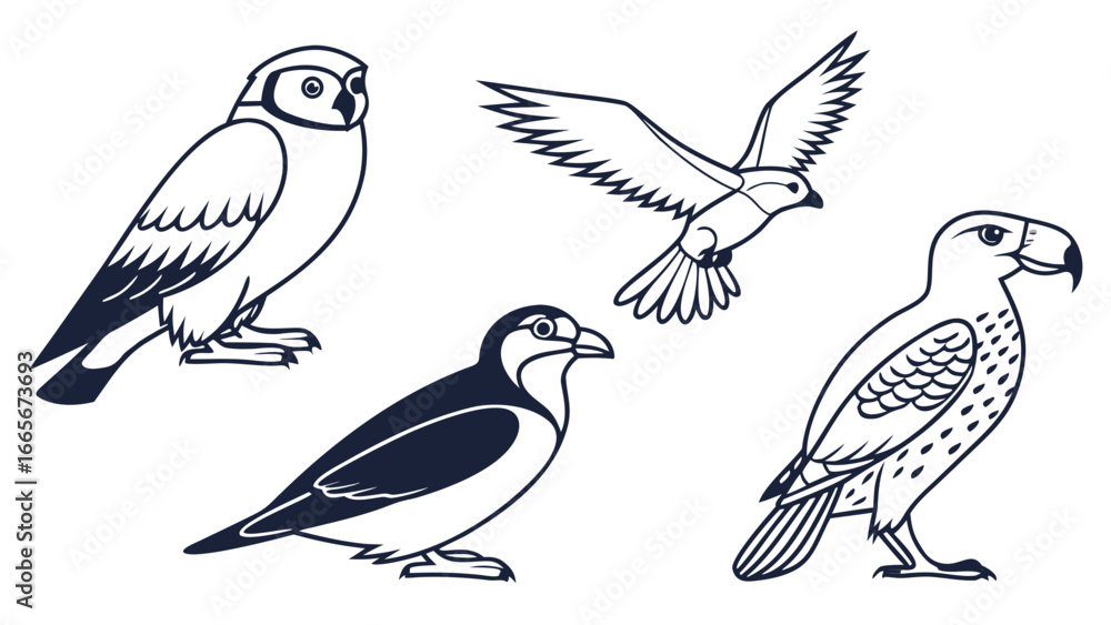 Obraz premium set of vector birds