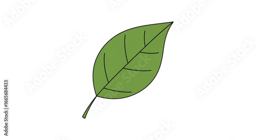 Illustration of green leaf vector drawing for botanical nature foliage design and art projects exactly hundred chars