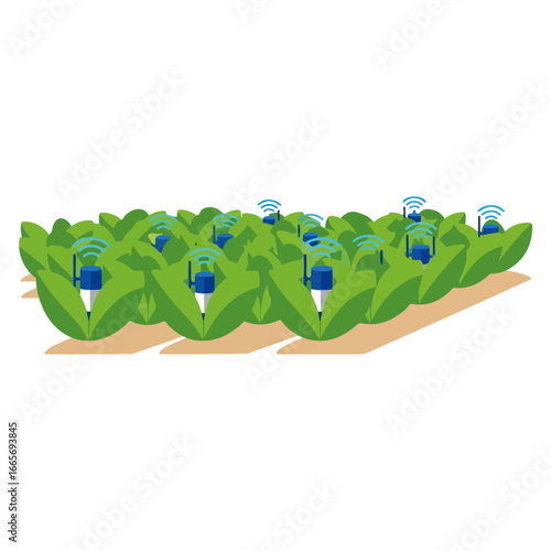 Smart agriculture: wireless sensors in a field of crops