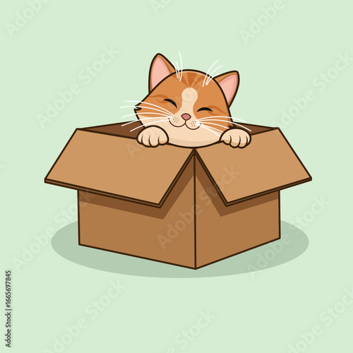 A cute pet kitten peeks out of a small gift box