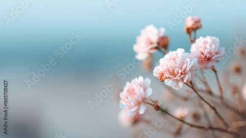 Delicate Blooms in Serenity, A composition of vibrant flowers isolated against a minimalist backdrop, highlighting their beauty in a clean and simple natural setting.
