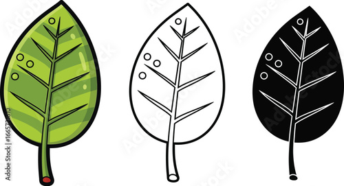 Cartoon leaf vector illustration set green black and white design