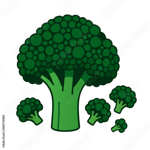 Vibrant green broccoli floret bunch isolated on white background for healthy eating and nutrition concepts in food industry marketing materials