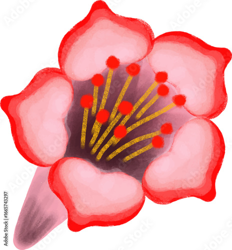 red frangipani flower