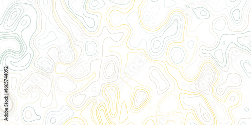 topographic line contour map background, geographic grid map, Vector illustration.