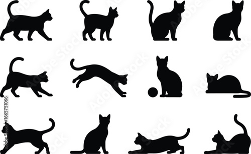 Seamless Pattern of Black Cat Silhouettes in Various Poses on White Background