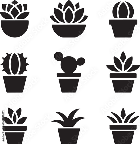 succulent, plant, collection, cactus, desert, xeriscape, drought, tolerant, botany, houseplant, arid, garden, simple, solid, vector