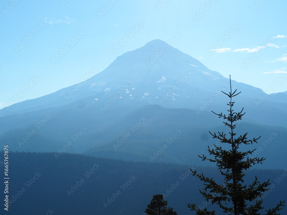Fototapeta premium Mt. Hood in Oregon
