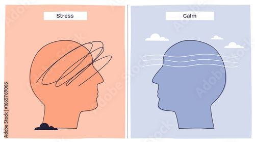Stress vs calm nervous system shows a chaotic head with scribbles for stress and smooth lines for calm, transparent background. Key objects, scribbles, smooth lines, head outlines.