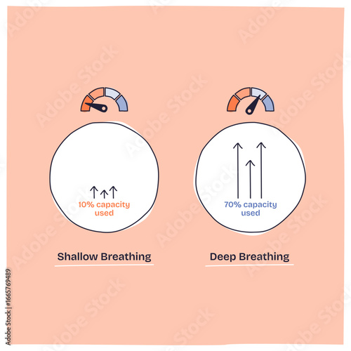 Lung function is shown by comparing shallow and deep breathing, highlighting air flow and capacity usage, transparent background. Doodle style diagram