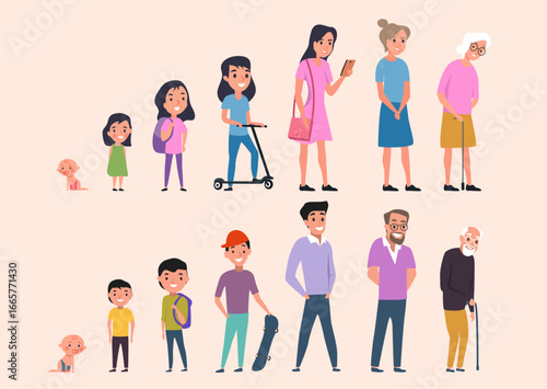 life cycle stages illustration man woman cartoon characters person growth process phases infancy childhood maturity senility baby teenager adult senior
