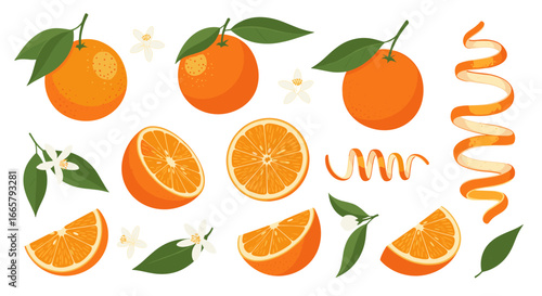 Vibrant collection of fresh oranges including whole fruits sliced halves wedges and delicate blossoms with their distinctive spiral peels creating a visually appealing arrangement of citrus goodness