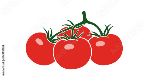 Fresh red ripe tomatoes on the vine growing healthy vegetables delicious fruit for food production agriculture and farm related designs