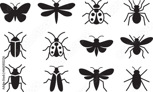 Insect Vector Collection Pack