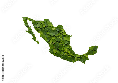 Isolated Green Mexico Map Illustration with Transparent Background