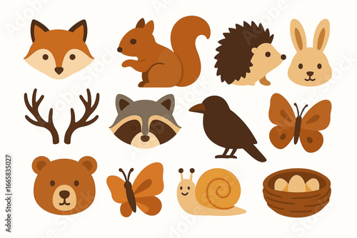 Cute woodland animals: fox, squirrel, hedgehog, rabbit, raccoon, bear, snail, crow, butterflies