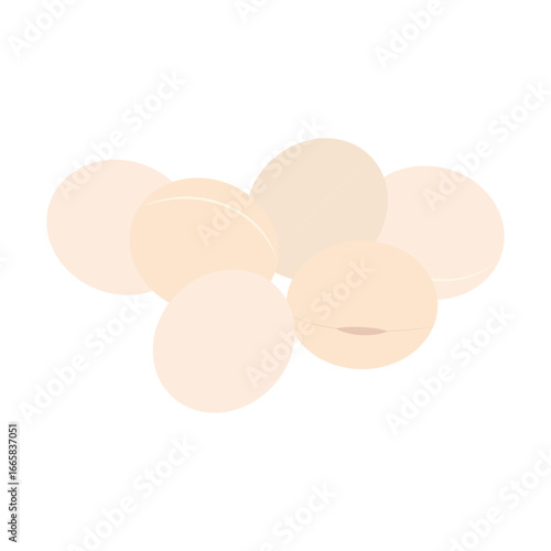 大豆のベクターイラストアイコン