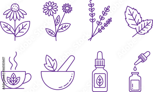 Herbal Tea, Plant Icons, Extract Bottle, Flowers, Leaves Outline Set in Purple