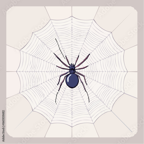 Detailed vector illustration of a single large spider resting in the center of its perfectly symmetrical and intricate web