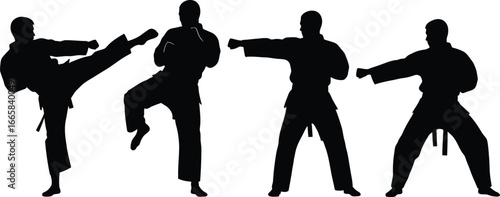 Silhouette of karate fighters in various stances