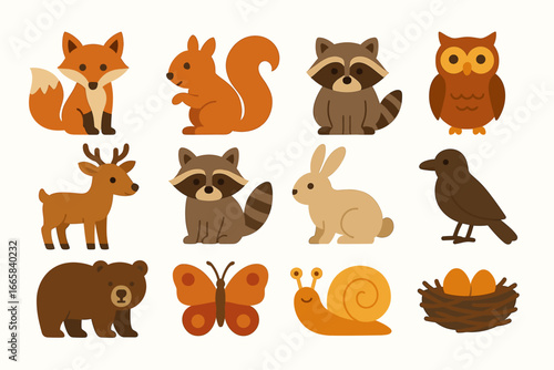 Adorable woodland animals collection with fox, squirrel, raccoon, owl, and more