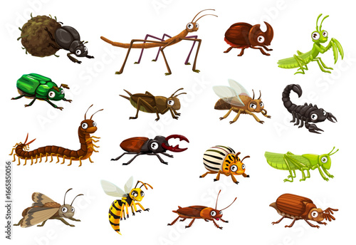 Cartoon funny googly insect characters. Cute bugs vector personages of grasshopper, mantis, cricket, scorpion and stick beetle. Cartoon happy garden insects, hornet, cockroach, stag and rhino beetles