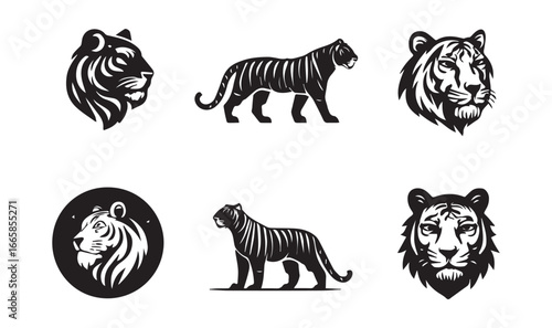 Black and white tiger graphic set with full body and head portraits animal wildlife