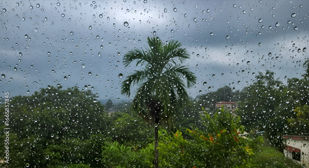 Obraz premium Rain drops on window pane with view of tropical greenery and residential buildings. Rainy day view through a window in a tropical location. Resident observing the rain outside.