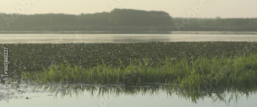 Danube river scenery by sunrise 4K anamorphic video