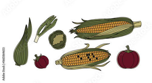 Fresh Farm Produce Illustration Featuring Corn, Sweet Potatoes, Apples, and Green Vegetables for Healthy Eating, Organic Food, and Agricultural Market Promotions