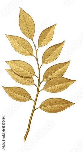 Realistic Gold Leaf Branch Illustration With Transparent Isolated Background