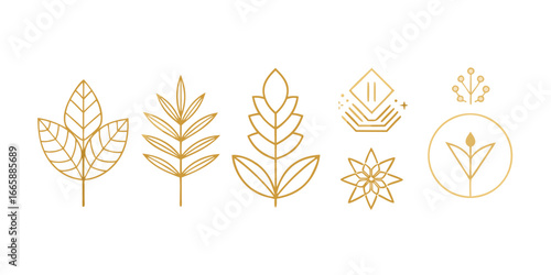 Golden botanical elements minimalist design set featuring leaves,flowers,and abstract shapes for elegant and natural designs