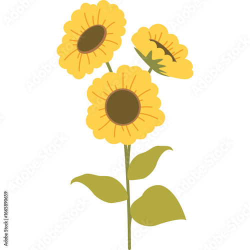 Sunflower Vector Illustration