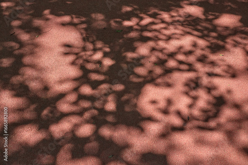 Textured surface with dappled light and shadow patterns resembling organic shapes