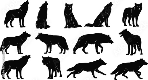 Wolf silhouette collection, black wild animal vector, sitting, walking, howling wolves, forest predator poses, wolf pack illustrations, nature wildlife design elements, canine clipart