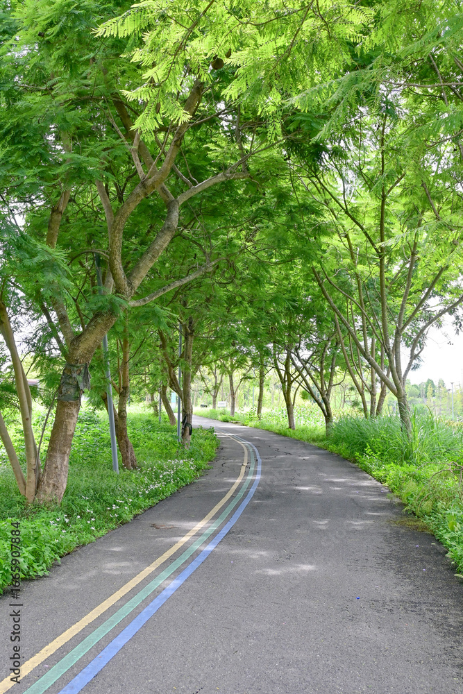 Fototapeta premium Scenery Track of Chengdu Yushi Wetland Park