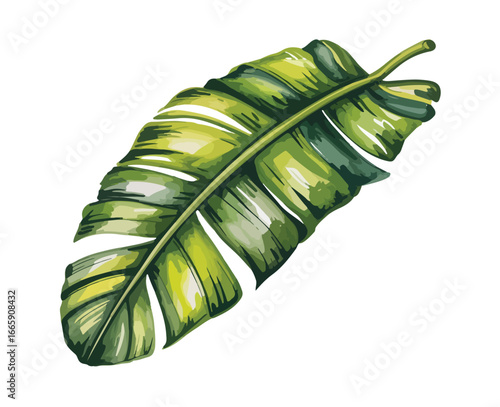 A fork holds a fresh, healthy, and organic green cucumber slice against a white background