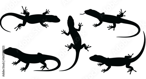 Lizard Group Silhouette Set Against White Background Reptile Vector Illustration silhouette
