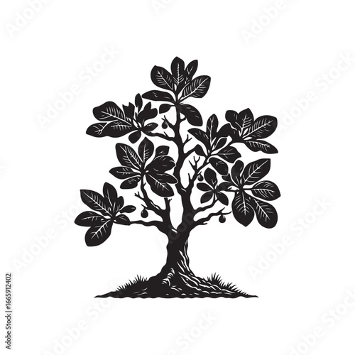 Natural Fig Tree Vector Design.