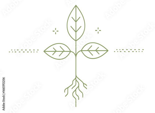 Delicate green seedling with roots and leaves, symbolizing growth and new beginnings