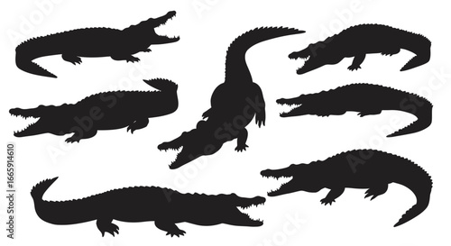 Collection of Alligator and Crocodile Silhouettes on a White Background silhouette collection alligator crocodile silhouettes white background The image features