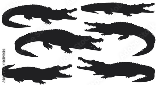 Alligator and Crocodile Pattern in Black Silhouette Style on White Background silhouette